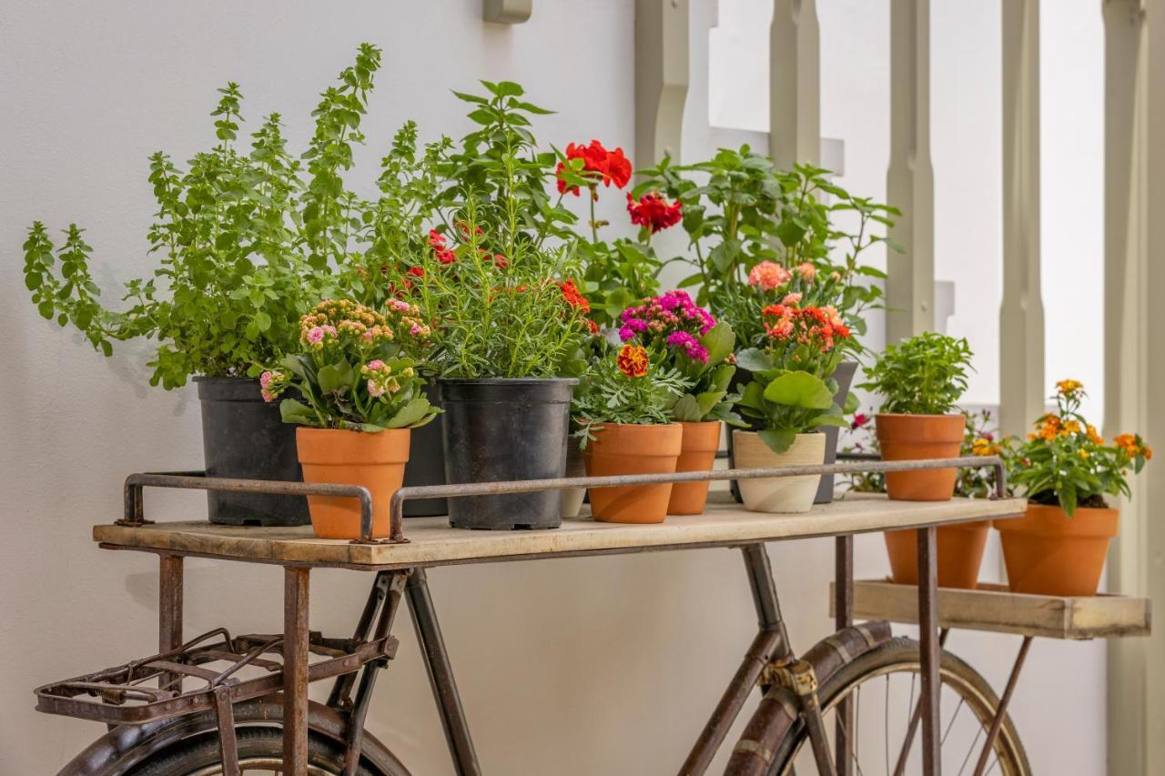 Amarada City Suites Rhodes City Eksteriør bilde